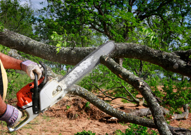 Lawn Irrigation Installation and Maintenance in Newington Forest, VA